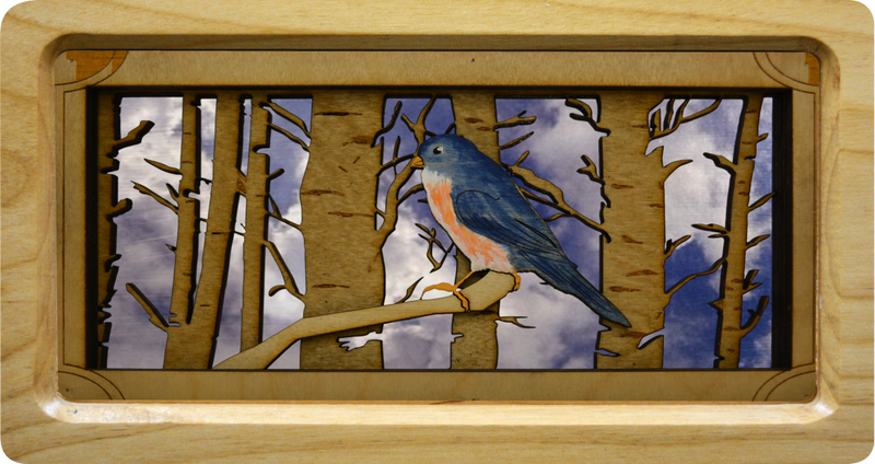Bluebird with Background #14
